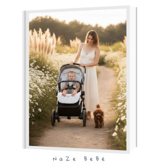 Colchoneta silla de paseo bebé PABLO Uzturre