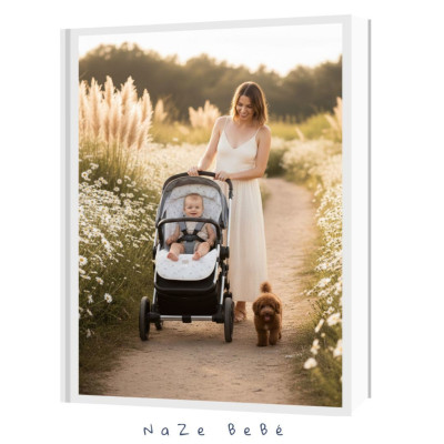 Colchoneta silla de paseo bebé PABLO Uzturre